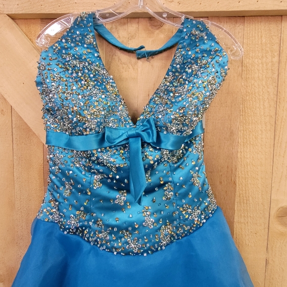 Tiffany Design Gown - Picture 6 of 8